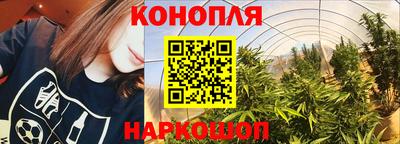 стафф Бугуруслан